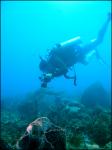 St. Lucia - 2007