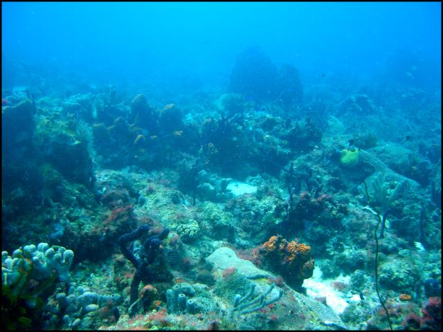 DSCN2398.jpg